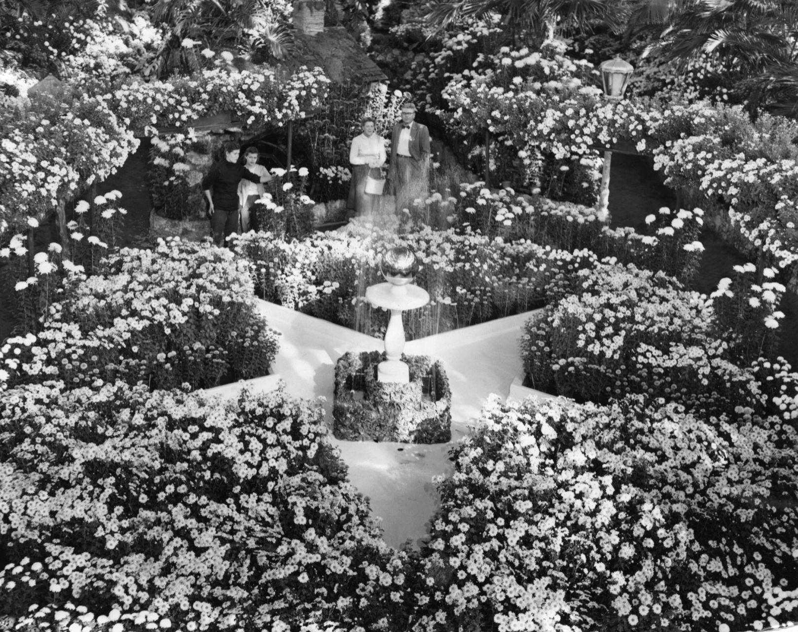 1953: Jewel Box
